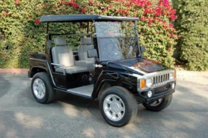 affordable golf cart rental, golf cart rent virginia beach golf cart rental